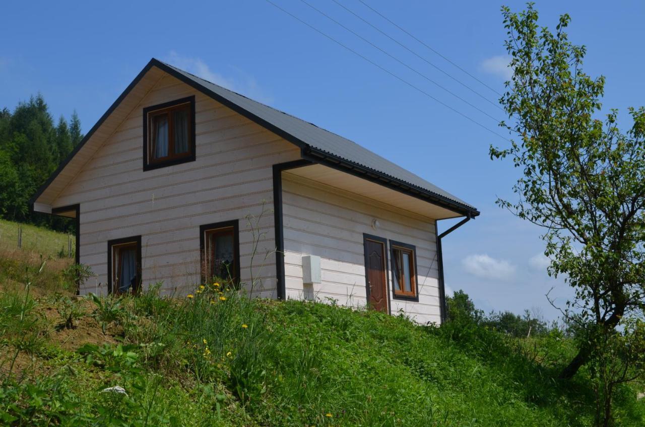 Domek Zacisze Gor Slonnych Tyrawa Woloska Kültér fotó